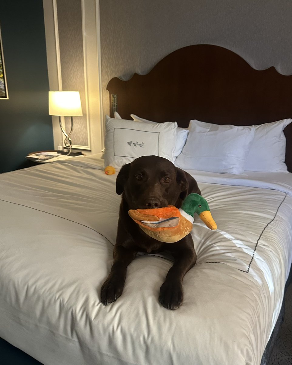 Shannon Cooper tweet media