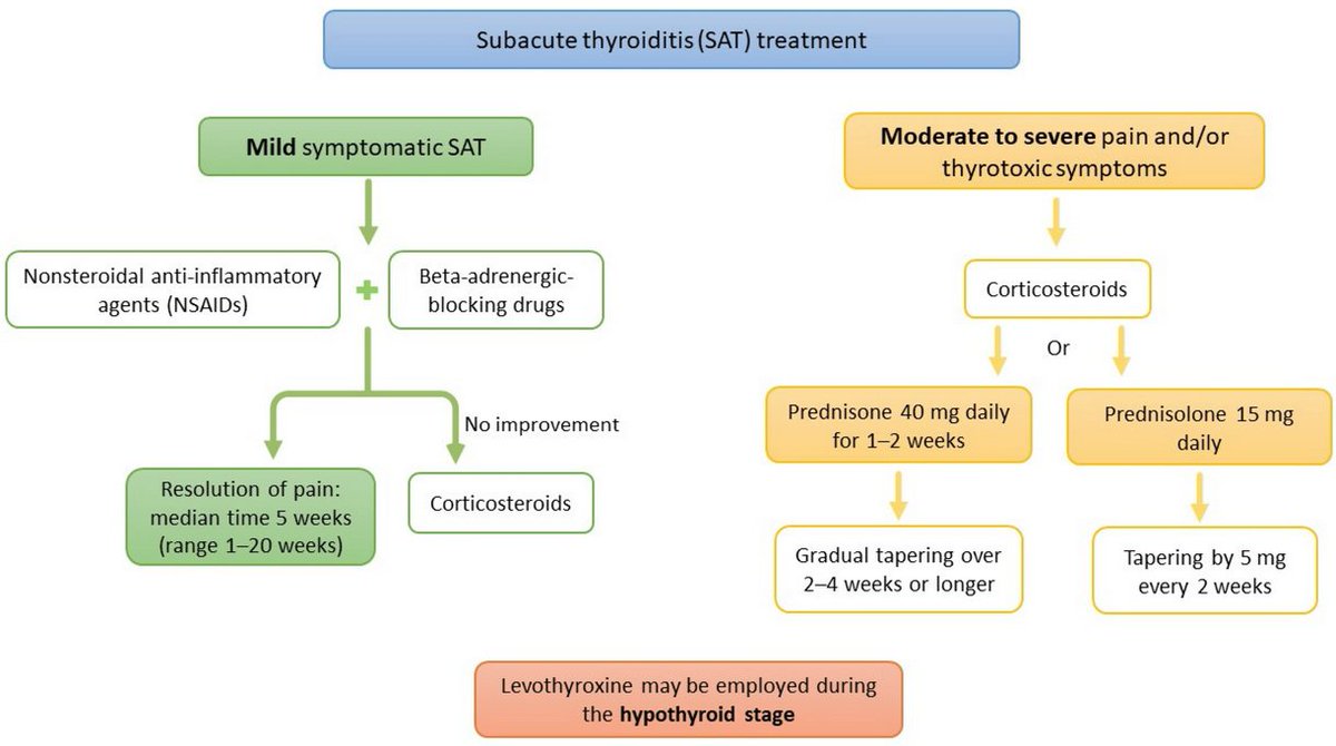 StudyXing Medicine tweet media