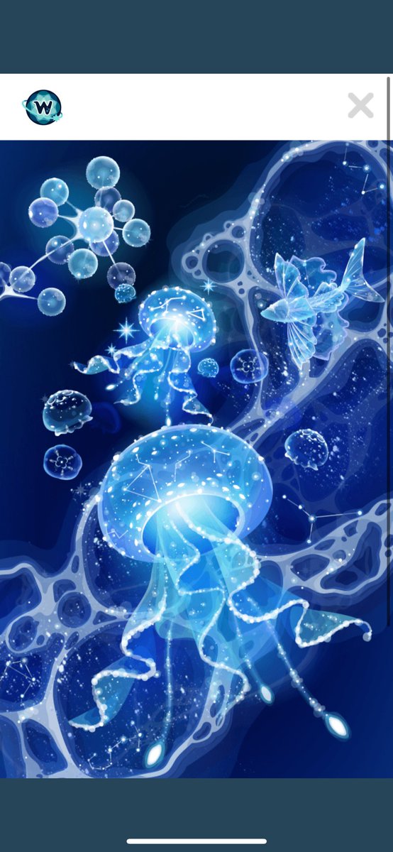 ぜっっったい買う🪼