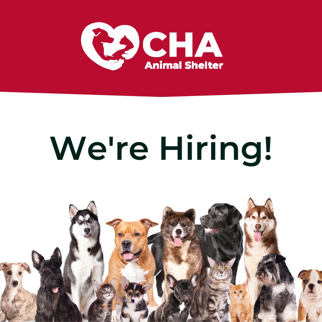 Are you seeking a rewarding and fulfilling role working with dogs and cats? We are currently hiring a full-time and part-time weekend animal caretaker. Learn more and apply at chaanimalshelter.org/open-positions/. #chaanimalshelter #hiring