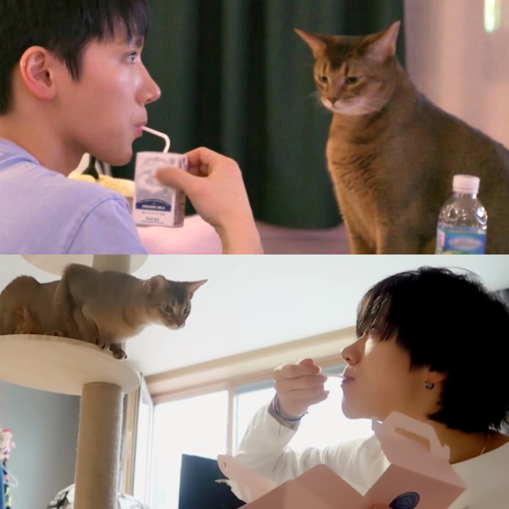 นึกถึงที่เตนเคยบอก ลีออนเขาจะไม่ชอบแมวด้วยกันแต่ชอบคน อยากกินอาหารคน 555555555