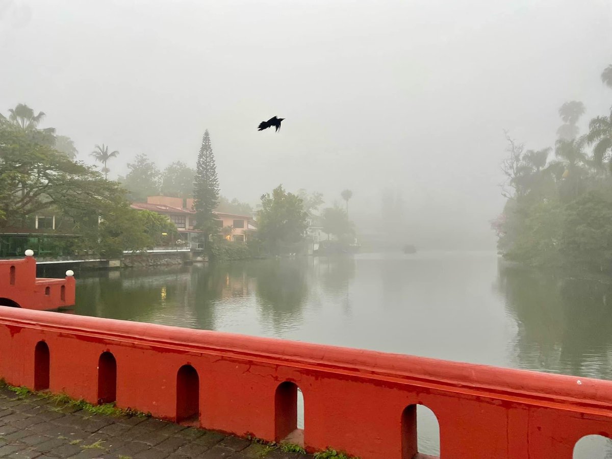 JL | Javier Landa tweet media