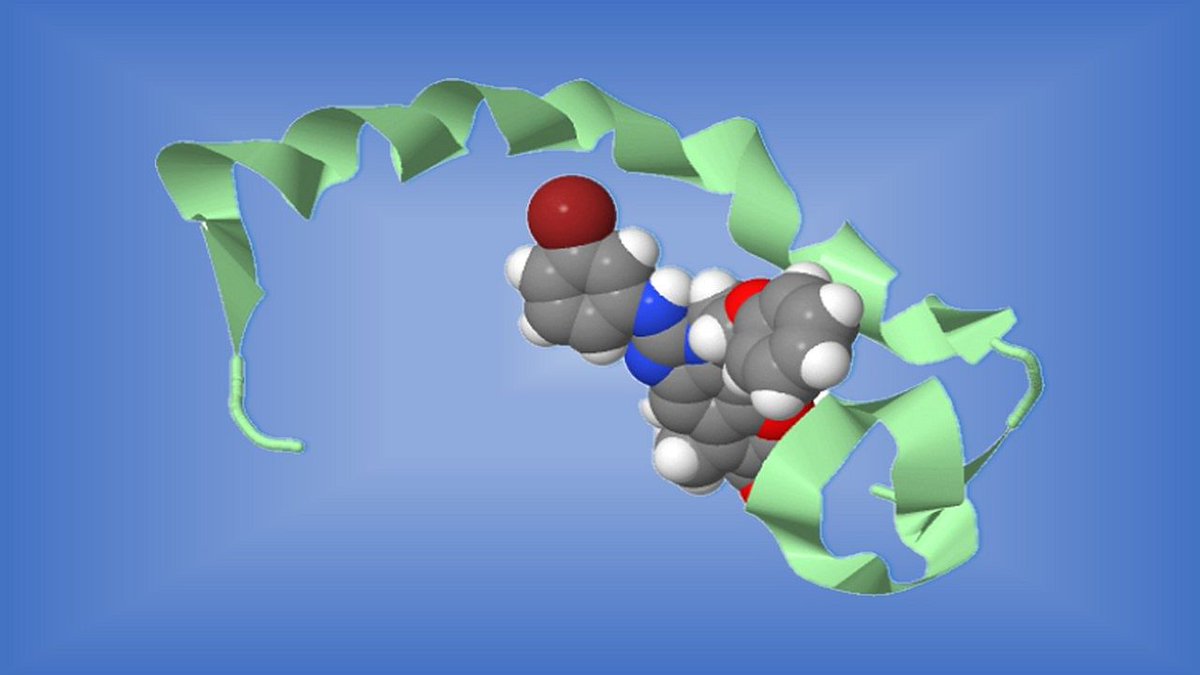 Michael E. Newman (@menewman17) on Twitter photo My latest news release (bit.ly/48U0bU0) for <a href="/HopkinsMedNews/">Hopkins Med News</a> describes novel fluid biomarker under development by <a href="/HopkinsMedicine/">Johns Hopkins Medicine</a> <a href="/JHUPath/">Johns Hopkins Pathology</a> that may one day predict the risk of degenerative diseases #ALS and #FTD - even before symptoms appear. My latest news release (bit.ly/48U0bU0) for <a href="/HopkinsMedNews/">Hopkins Med News</a> describes novel fluid biomarker under development by <a href="/HopkinsMedicine/">Johns Hopkins Medicine</a> <a href="/JHUPath/">Johns Hopkins Pathology</a> that may one day predict the risk of degenerative diseases #ALS and #FTD - even before symptoms appear.