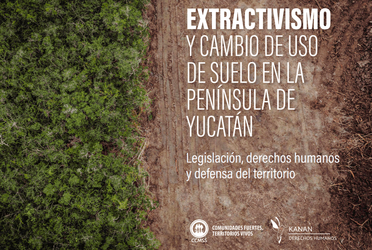 En México es ilegal deforestar, entonces ¿por qué la deforestación sigue al alza? 🚫🛤️💰 Consulta el informe sobre Extractivismo y Cambio de Uso de Suelo en la península de Yucatán, y comparte: tr.ee/NGUrpP1Ol1 #AltoALaDeforestacion