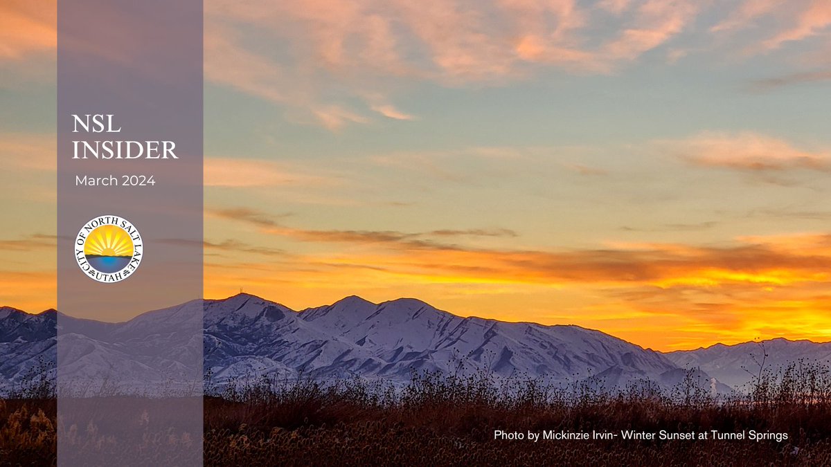 The latest NSL e-newsletter was sent to subscribers today. Did you get yours via email? #nslinsider #nsllife mailchi.mp/nslcity/nsl-e-…