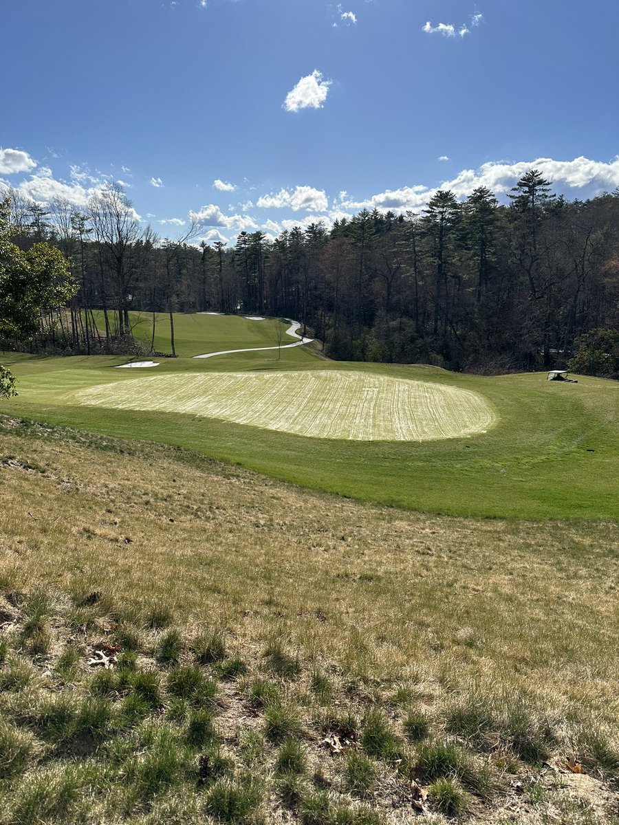 Palmetto Turf Masters LLC tweet media