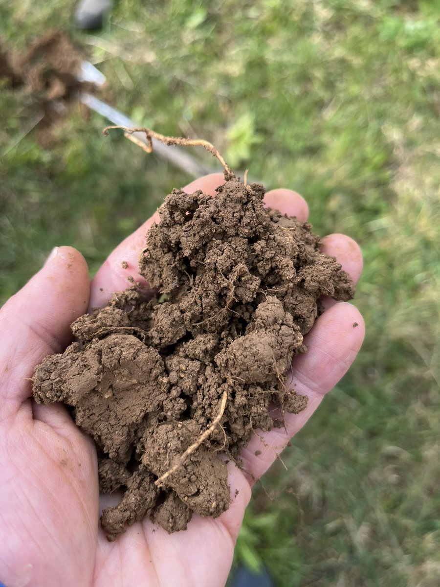 Tom Gill tweet media