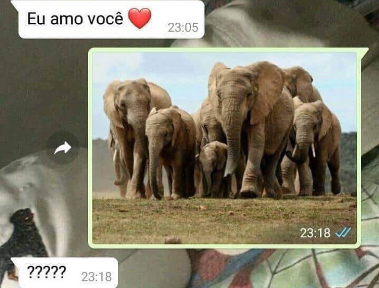 memeinteligente's tweet photo. https://t.co/zugxArLGjp