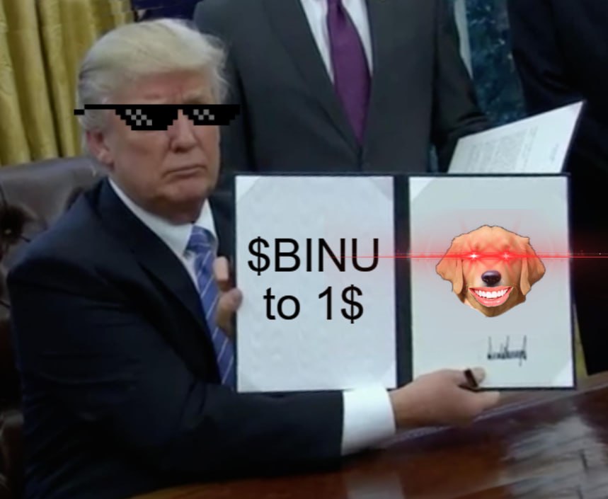 The goal remains the same

$BINU to a BILLY