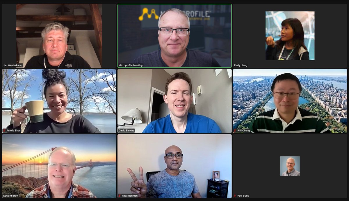 Today's <a href="/MicroProfileIO/">MicroProfile</a> Steering Committee Meeting crew.
