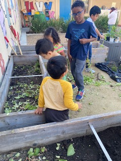 Trinity EEC's Beautification Event this past weekend was a success!