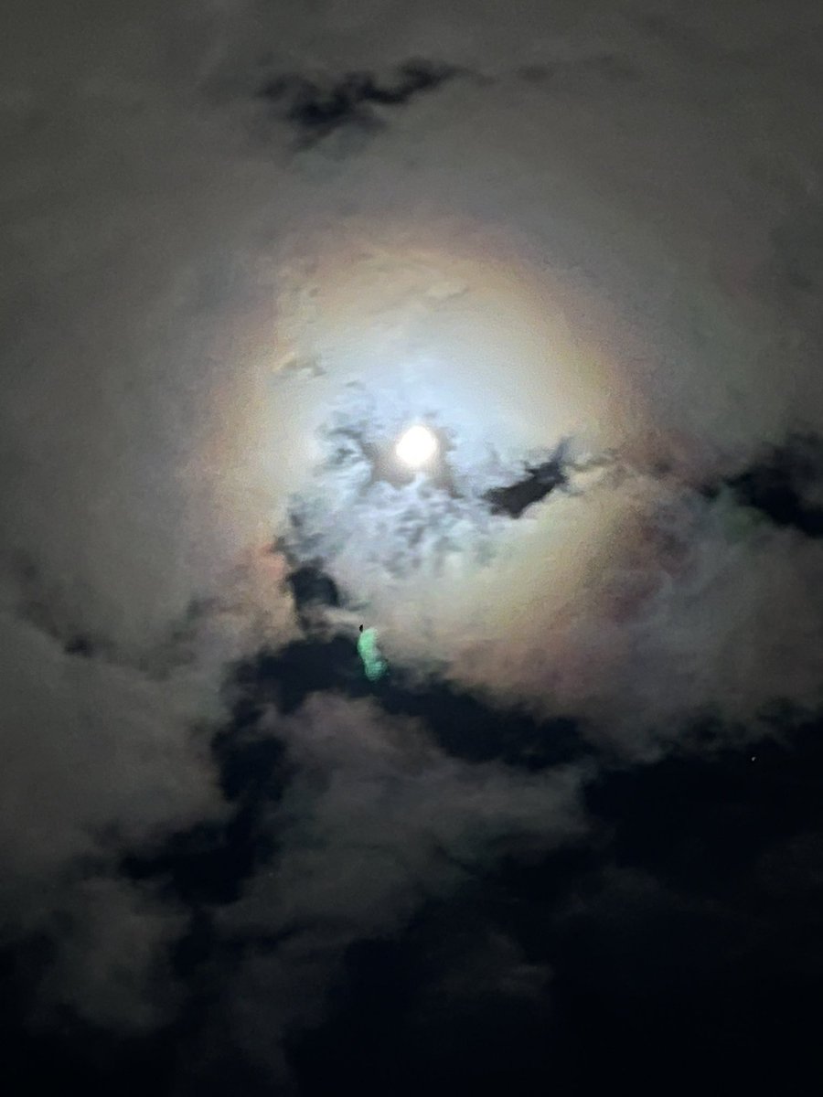 Kida467's tweet photo. Lens flare, but cool! #iphone13promax https://t.co/MlMC7KDHqq
