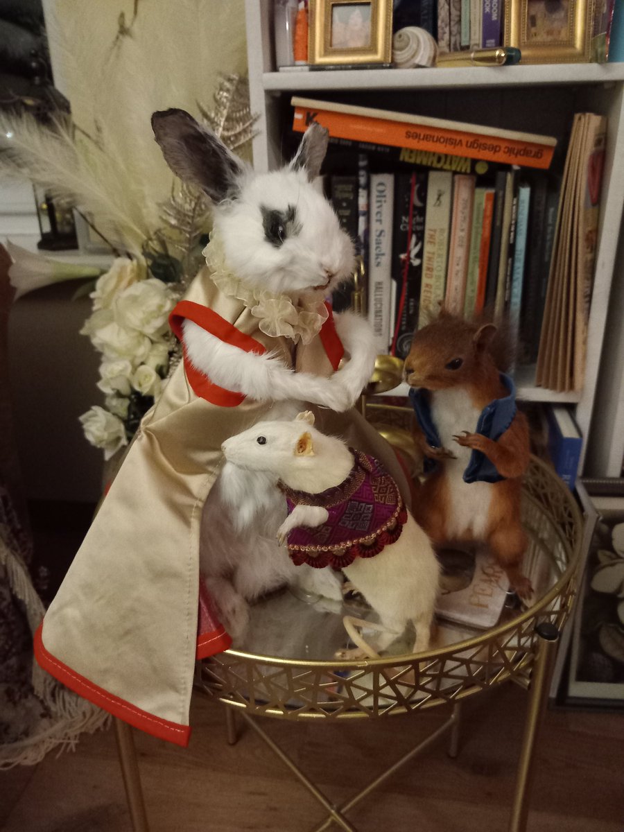 DoubbleLouise's tweet photo. The rabbit is trying on some new threads, helped by Mrs Rat and squirrel Bob. We think he would be more comfortable in a nice waistcoat and jacket! #VoodooMouseDesigns #taxidermyart #talioring #taxidermyforsale #etsyshop #skins #gifts #steampunk #gothic #alternative https://t.co/aqGTDIB36P
