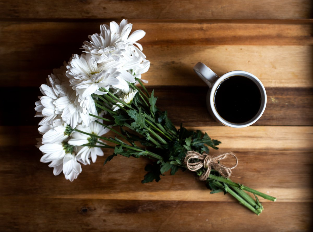 DakotaRoasters's tweet photo. SPRING IS HERE!

Enjoy 10% off our Spring Themed Roasts

-Flickertail Blonde
-Juneberry
-Wild Prairie Rose

Available from March 19th-March 24th

Visit https://t.co/SteFnzk3YL to place an order today!

#coffee #smallbusiness #shopsmall #shoplocal #coffeetime #northdakota https://t.co/nfHMXj67UU