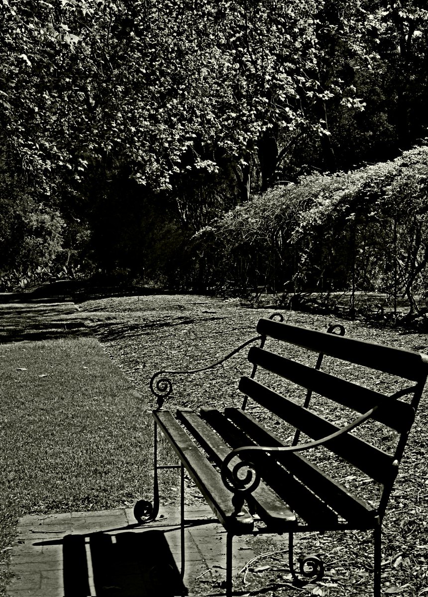 csdock's tweet image. Peace