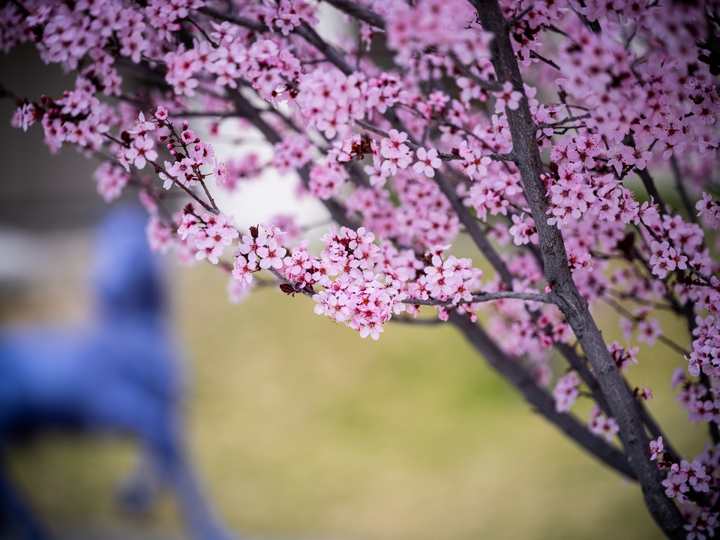 Spring has officially sprung at #WNMU. This is a time to look forward to longer days, blooming flowers and sunshine-filled adventures both on and off campus. 🌱🐝 🌸⁠ ⁠ #FirstDayofSpring #renewal