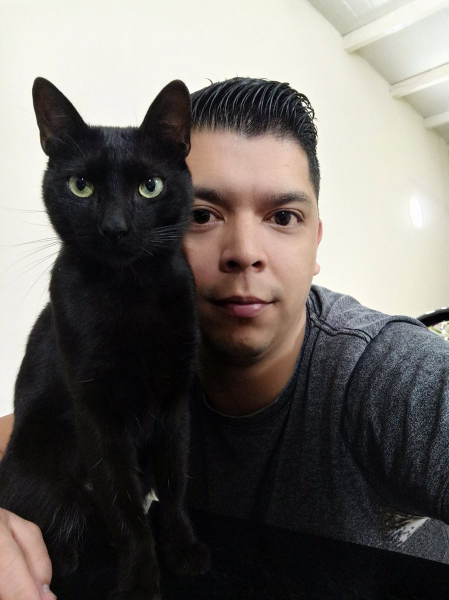 Bartolomeo777's tweet image. Mi querido Ronrrón está desaparecido y en casa lo extrañamos mucho. 

Barrio Santa Lucía de Lambaré.
Cualquier info se los agradecería. 

Se agradece RT.