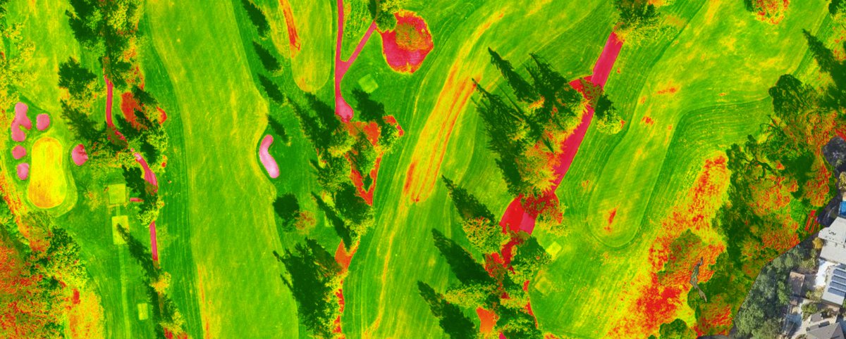 Kevin Hauschel tweet media