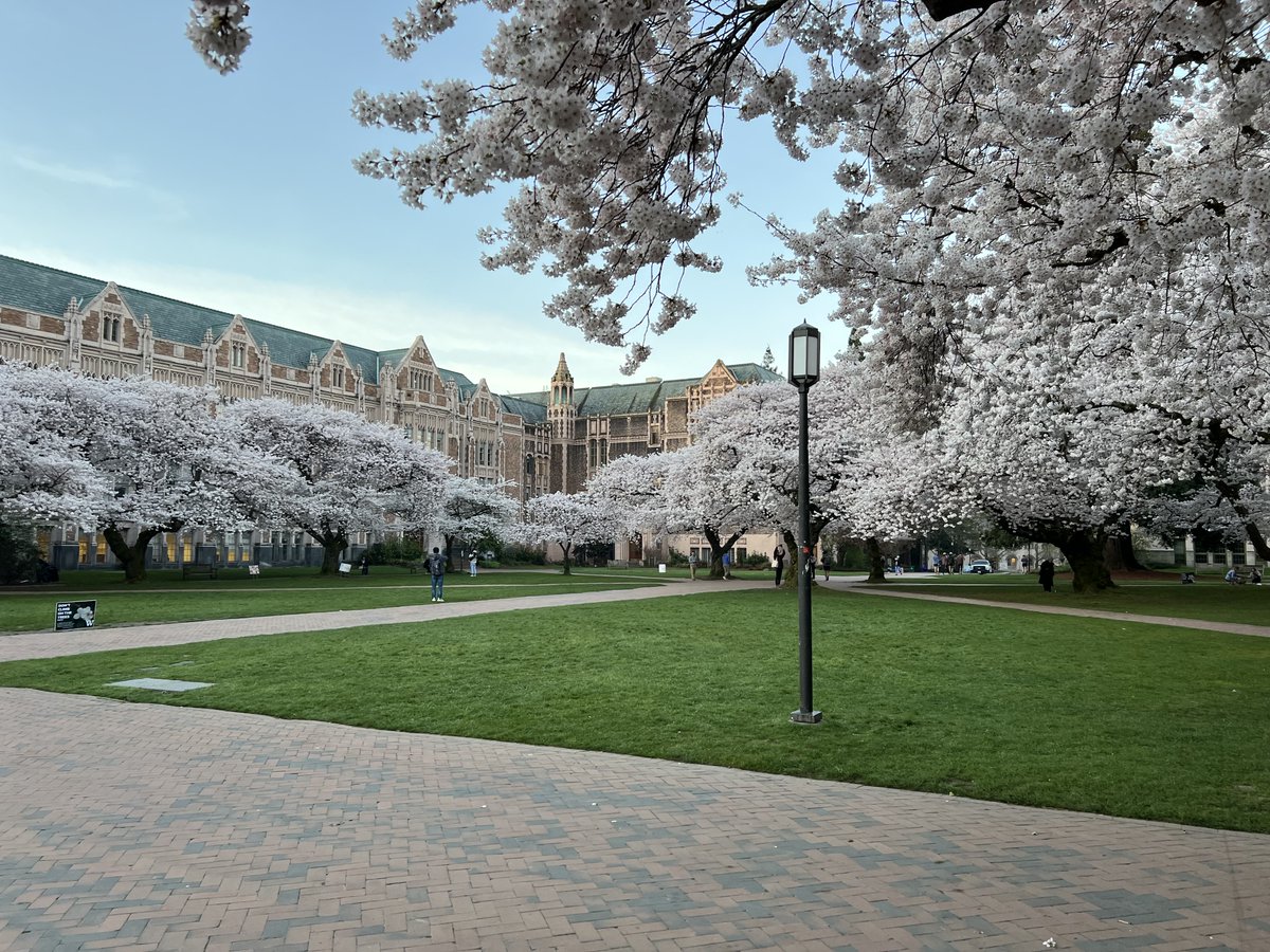 The University of Washington CME team took a quick morning walk on Campus to enjoy the amazing scenery. @uwmedicine @uwcherryblossom