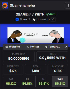 These guys just got dextools update! they are doing crazy things with lots more to come! DO. NOT. FADE!🚀🚀🚀

Devs are COOKING

🗨️t.me/obamehameha