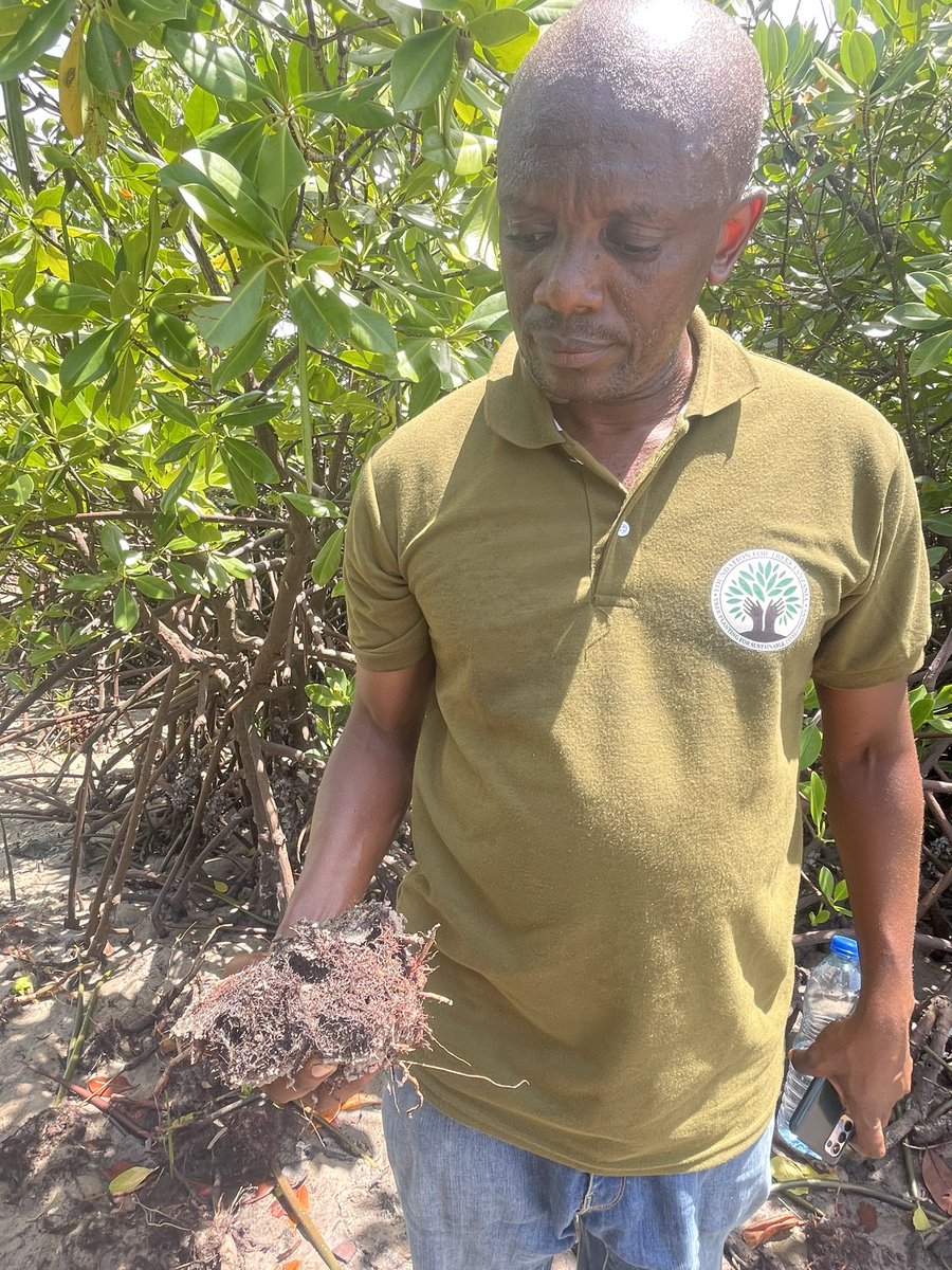 Welcoming home the team from #mangrove #bluecarbon field missions across East Africa. Every day there is something to learn that can’t be observed remotely.