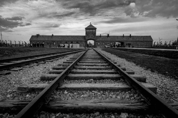 the autumn air was cold and damp
and the sky was an ash grey
I felt numb in the concentration camp
alone with my thoughts I prayed

in the silence I broke down and cried
walking near the unloading ramp
where the innocent on trains arrived
at the gate of the Birkenau camp
#vss365