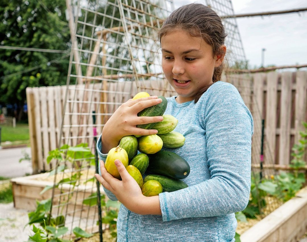 Planting the seeds to improve kids’ eating habits! Did you know that kids who grow veggies are more likely to eat them? #LoveandVeggies #SchoolGarden