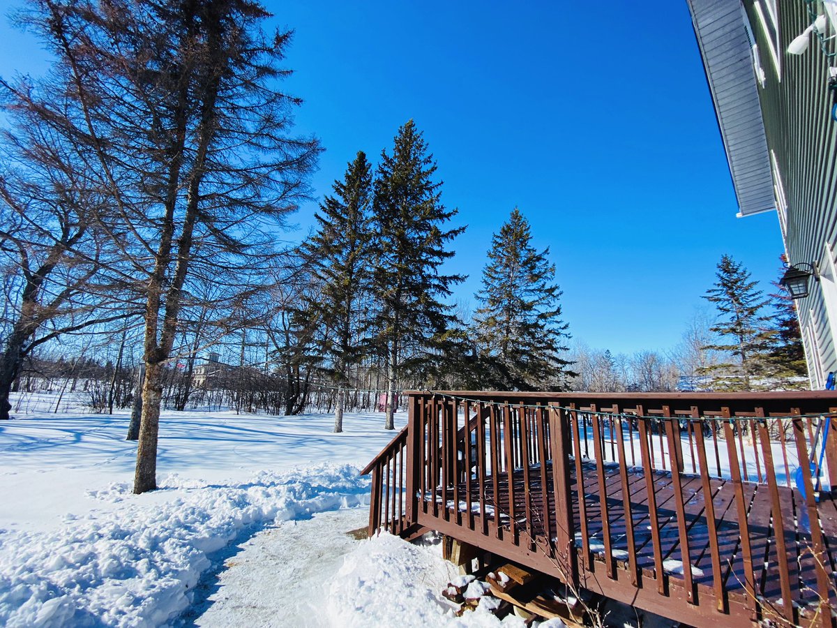 GrandBeachCabin's tweet photo. Evergreen Acre Rental Cabin #exploremb #grandbeach #grandbeachmb #travelmanitoba #grandbeachmanitoba #exploremanitoba #travelmb #airbnbmb #vacationrentalmb #beachesof59 #explore204 #vacationrental #cabin #vacationmode #cabinrentals #cottagerentalmanitoba #airbnb #vrbo https://t.co/Vo21srWAqa