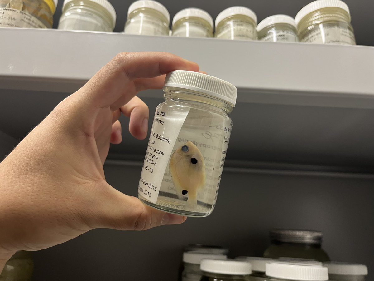 KaiTheFishGuy tweet media