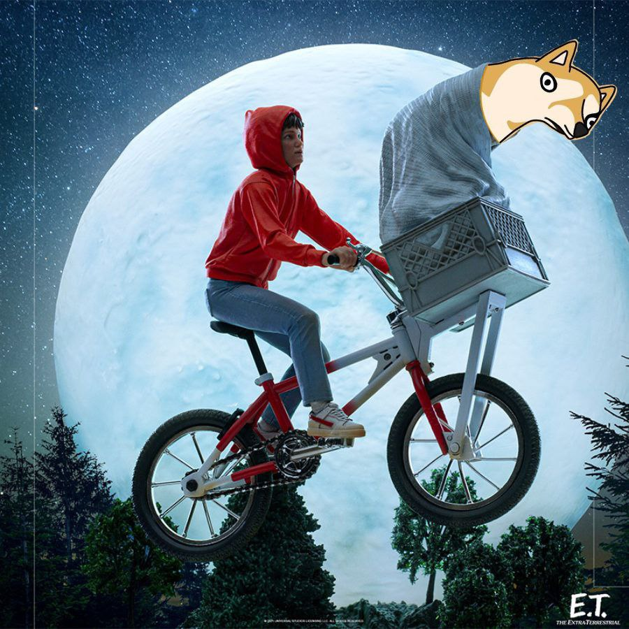 onlycryptopony's tweet photo. @stekisteks get in. $duge https://t.co/b0trbhDc4D
