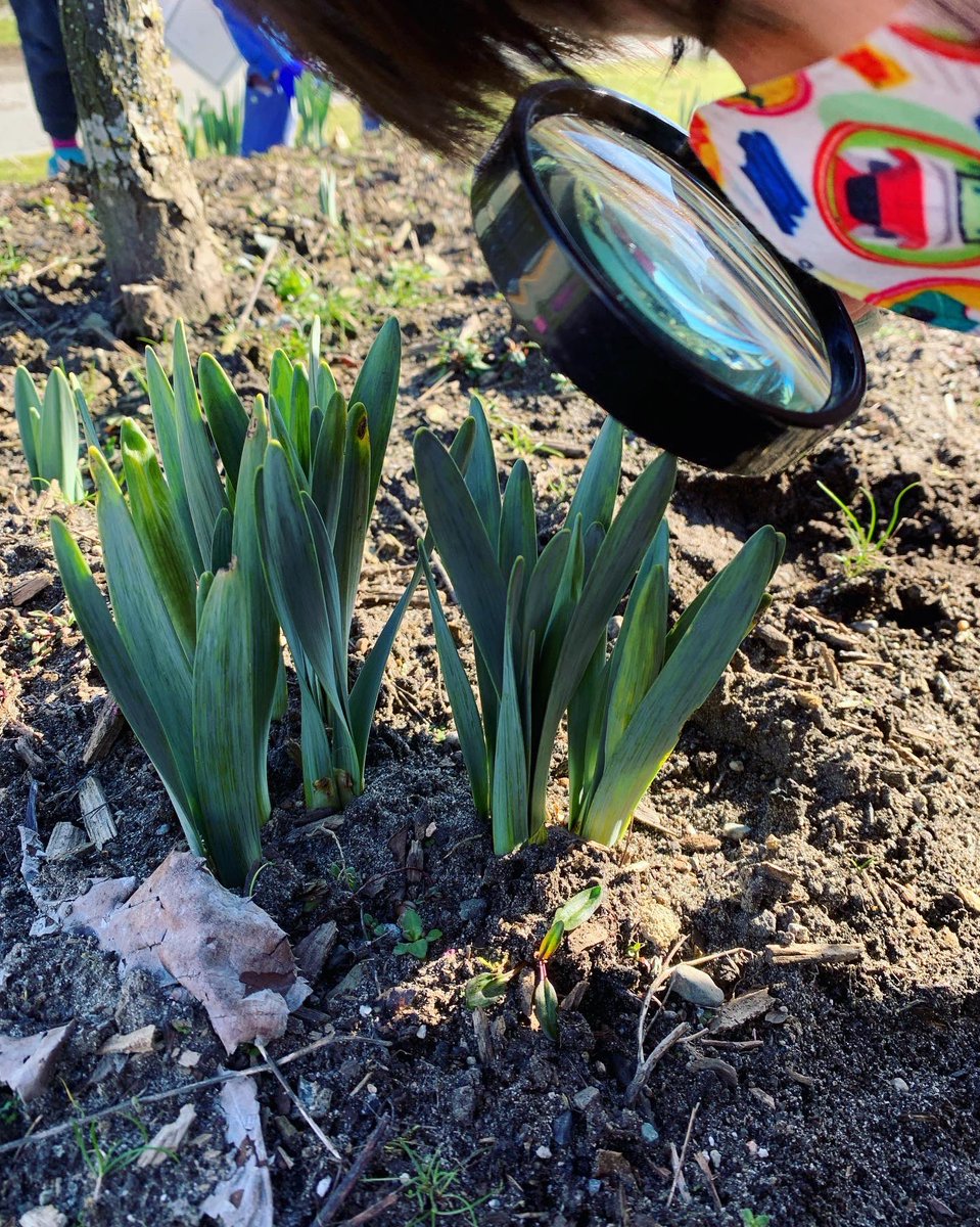 The equinox happens today at 8:06pm PDT - spring is finally here! The changing of the seasons is a great time for wonders and observations 🌱 Check out our upcoming free workshops series for new sparks of inspiration for educators heading outside: takemeoutside.ca/resource-direc…