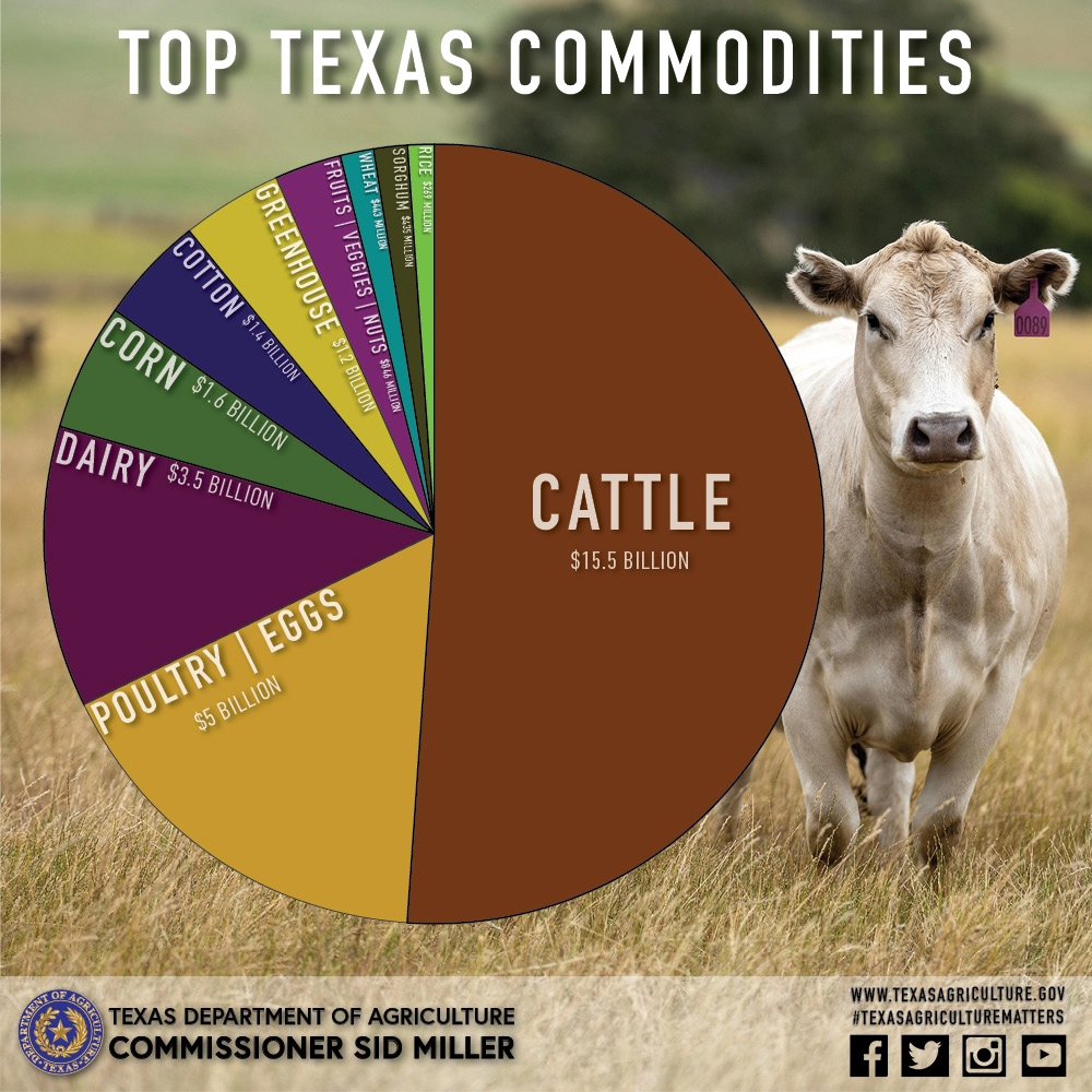 Texas Agriculture tweet media