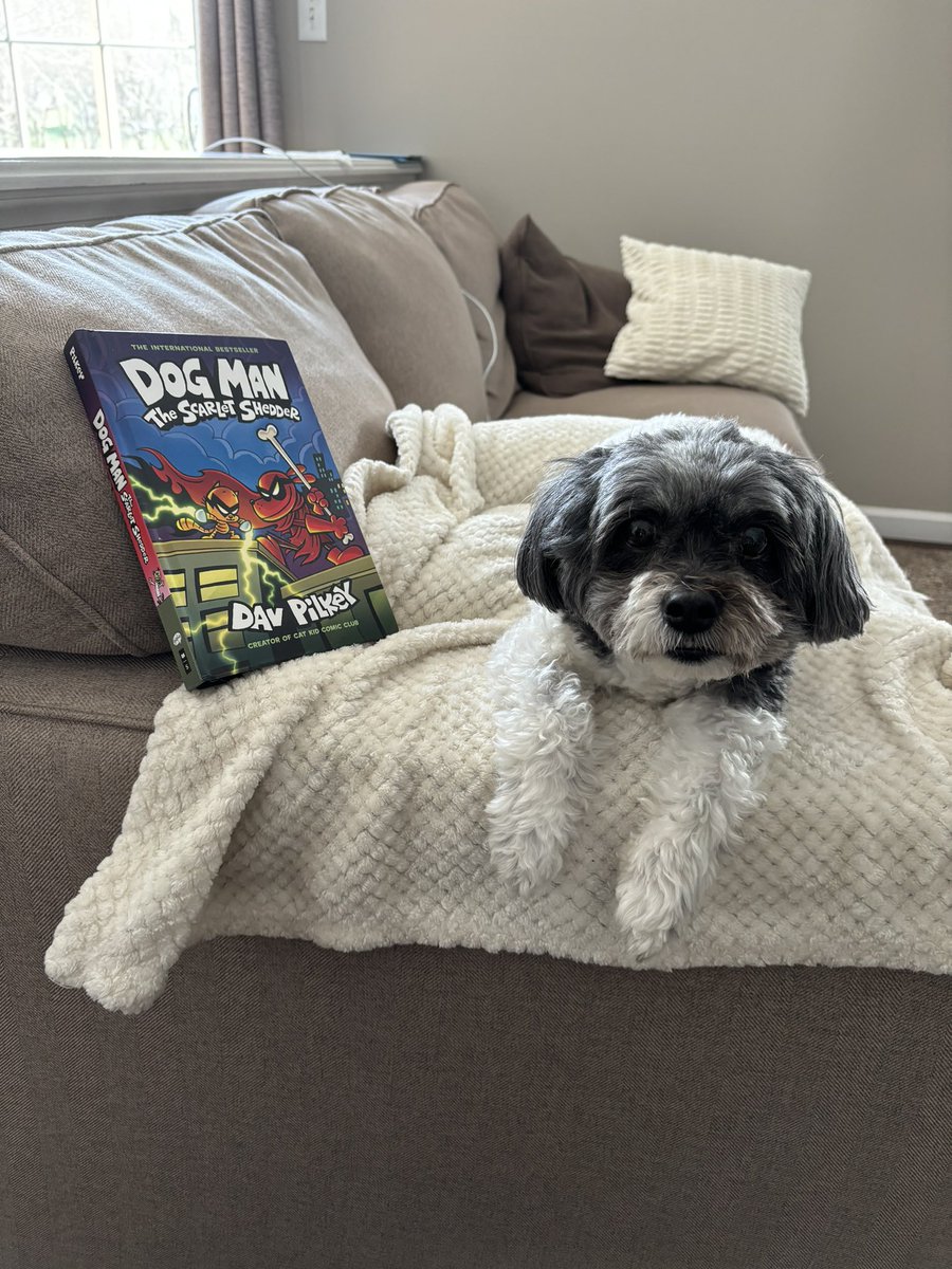 The new Dog Man has arrived and my dog Paisley got a sneak peak! Find it at the Pine and Forge libraries this week!