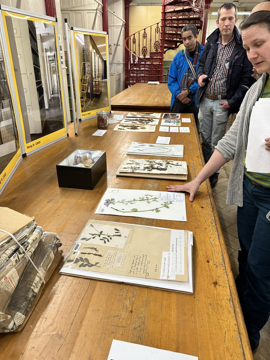 fillobax's tweet photo. Just me and my pal Darwin reviewing some of his earlier work on #biodiversity conservation. Thanks @kewgardens this place is really special #London @CropTrust #AGENTproject #science #genebank #genomics #H2020 https://t.co/r3bO9nWKxD