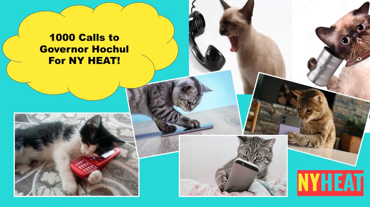 We just called <a href="/GovKathyHochul/">Governor Kathy Hochul</a> to thank her for including key parts of the #NYHEAT Act in her budget. Now, I'm urging her to fight for the FULL bill to ensure a comprehensive, equitable transition to clean energy! Join us!