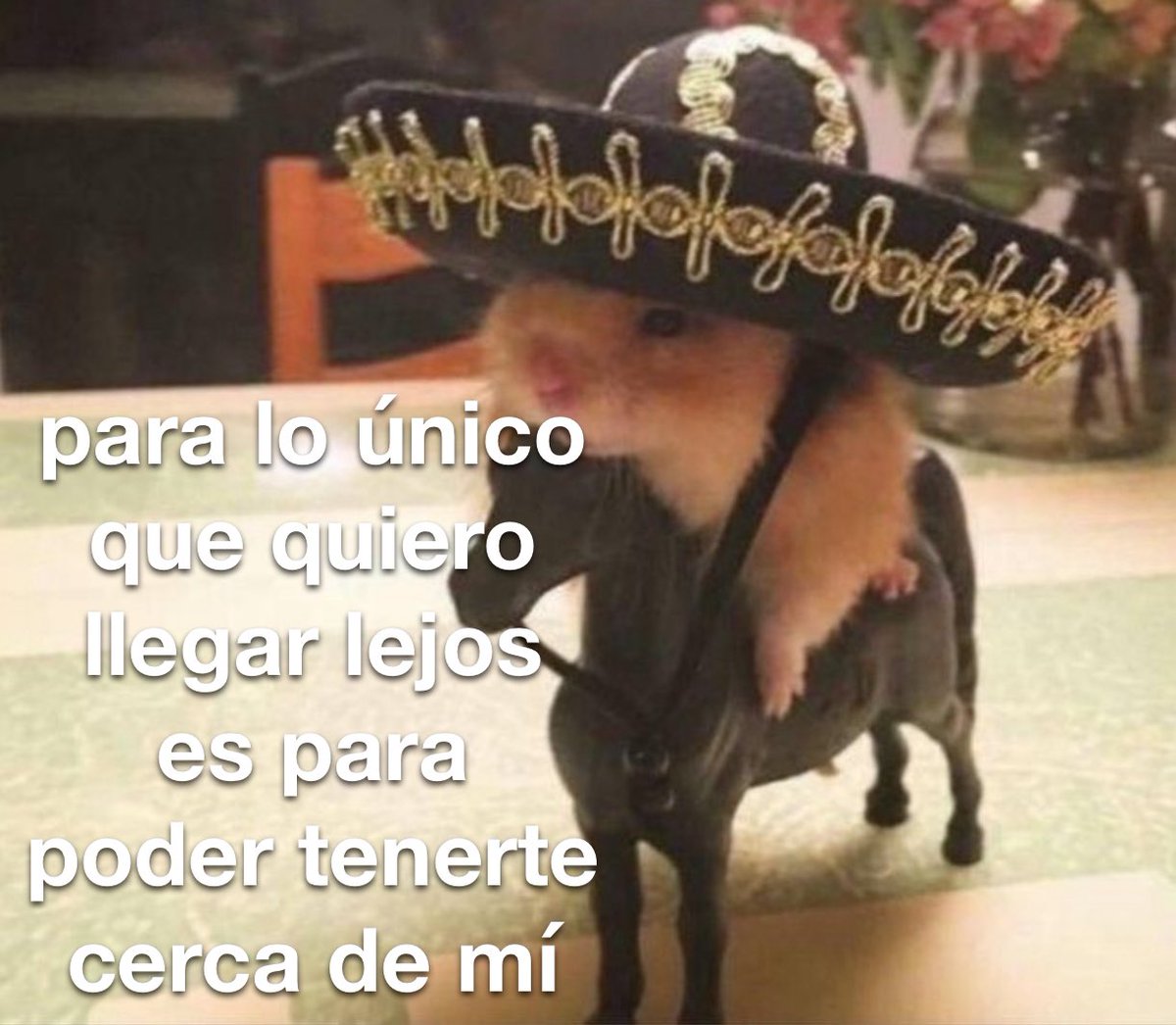 conoloracigarro's tweet photo. https://t.co/nMqFZCp0T4