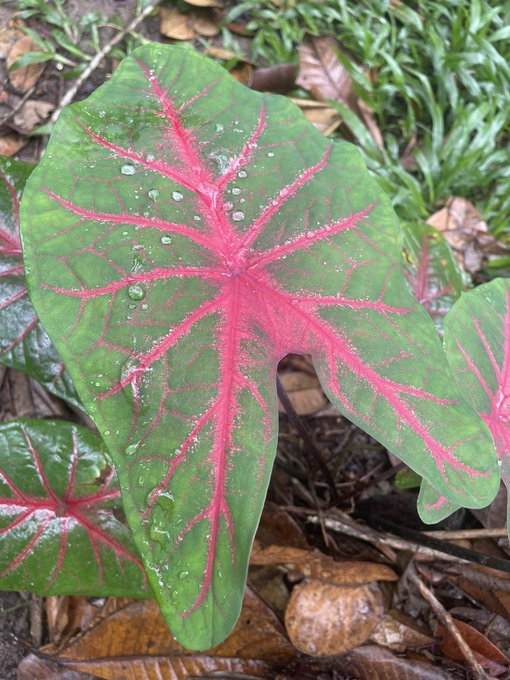 Nido en el bosque 💦✨ https://t.co/NmKAqJ6LRx