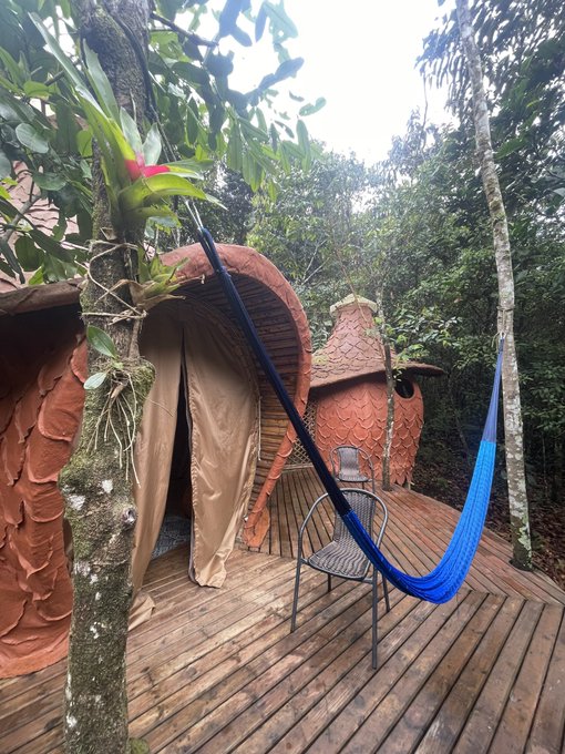 Nido en el bosque 💦✨ https://t.co/NmKAqJ6LRx