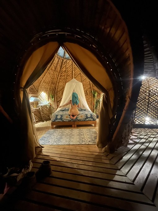 Nido en el bosque 💦✨ https://t.co/NmKAqJ6LRx