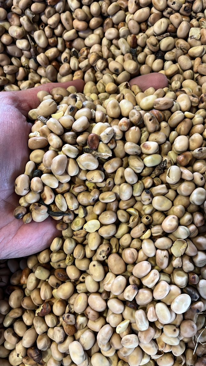 McArthur BDC tweet media