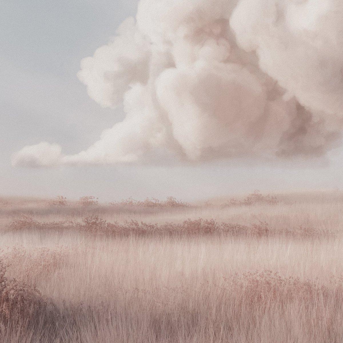 gm. 

slowly coming back to life ❤️
thank you for all your virtual hugs &amp; chicken soup.