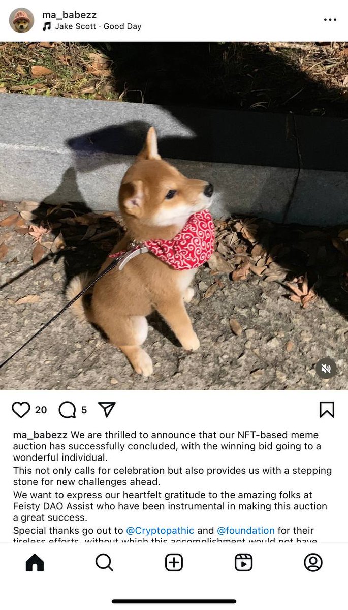 <a href="/eliz883/">EliZ</a> If it's not $WIFS then you should check it out
- Based dev
- Owner of $WIF is with us in the TG
- Elon musk friend loves this coin and have a bag of it
- And it's literally a dog wif scarf