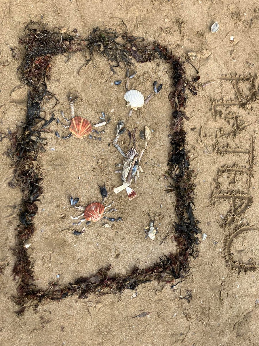 2SarresLorquin's tweet photo. Séjour en Normandie : 3è (jour 2) Initiation au char à voile sur la plage, visite des batteries de #LonguesSurMer et du @JunoBeachCentre ! Puis un concours de #LandArt sur sable 😎 https://t.co/Ci9NONDA9f