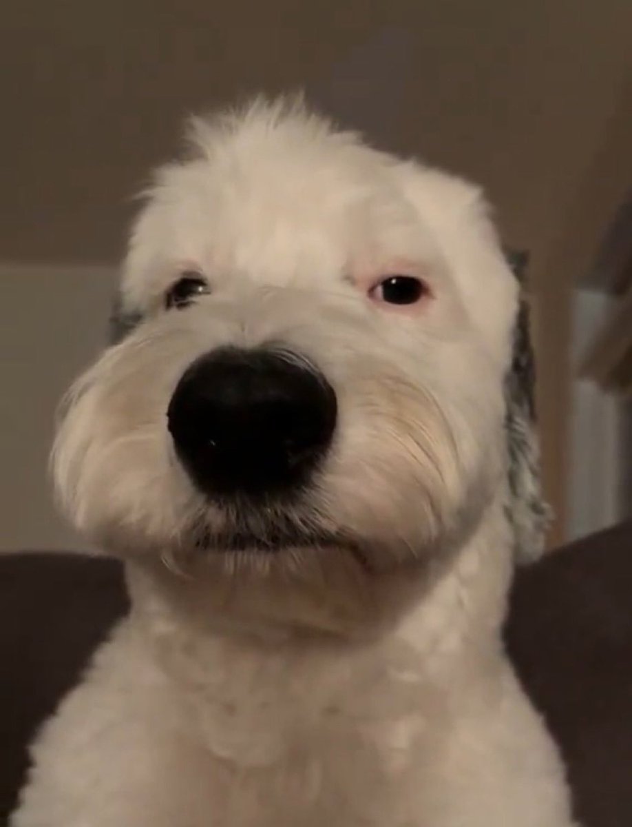 𝕰𝖒𝖎𝖑𝖎𝖔 〄 (SSummerboy) tweet media