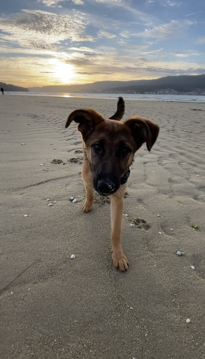 uxialorr's tweet photo. hoy fuimos de paseo a la playa ☀️ https://t.co/A0bbj8c68r