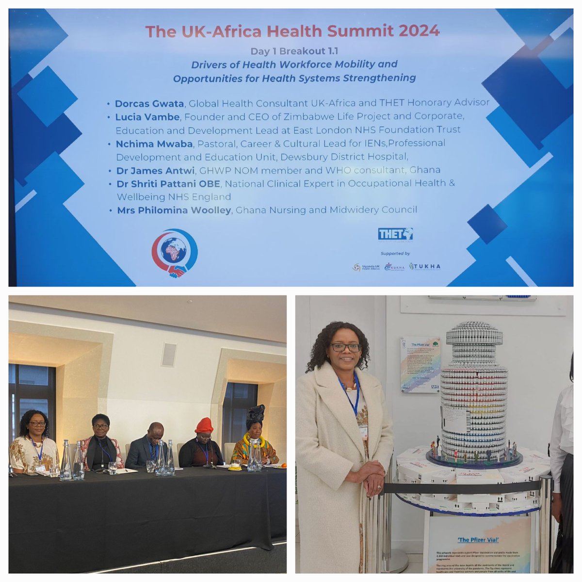 Zimbabwe Life Project tweet media