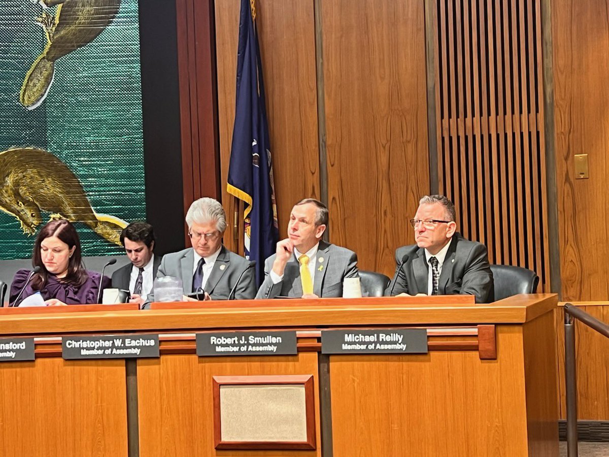 Yesterday in Albany I joined my @NYS_AM colleagues to advocate for greater Tuition Assistance Program (TAP) funding during the Assembly Higher Education Budget Committee meeting. I’ll always fight to make higher education more attainable for New Yorkers.