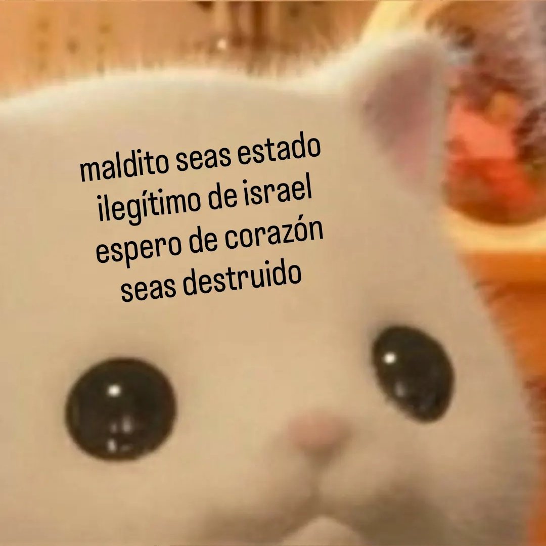 gustavo (@biciclotimia) on Twitter photo 