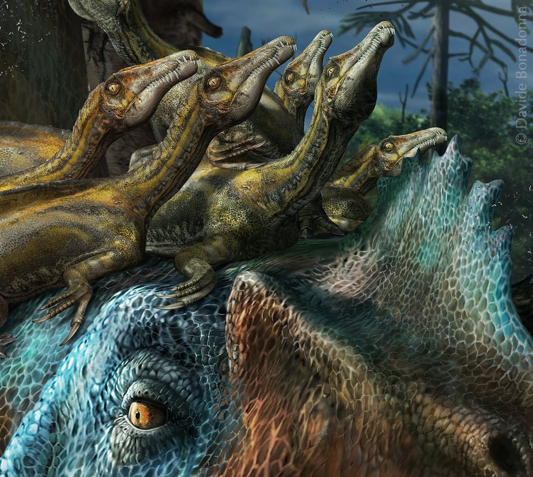 "L'occhio della madre" cit.
🦖🎨🎬
#Paleoart #Paleoartist #paleoappi #Spinosaurus #Dinosaurs #theropoda #PaleontologiaePaleoarte #PrehistoricMinds