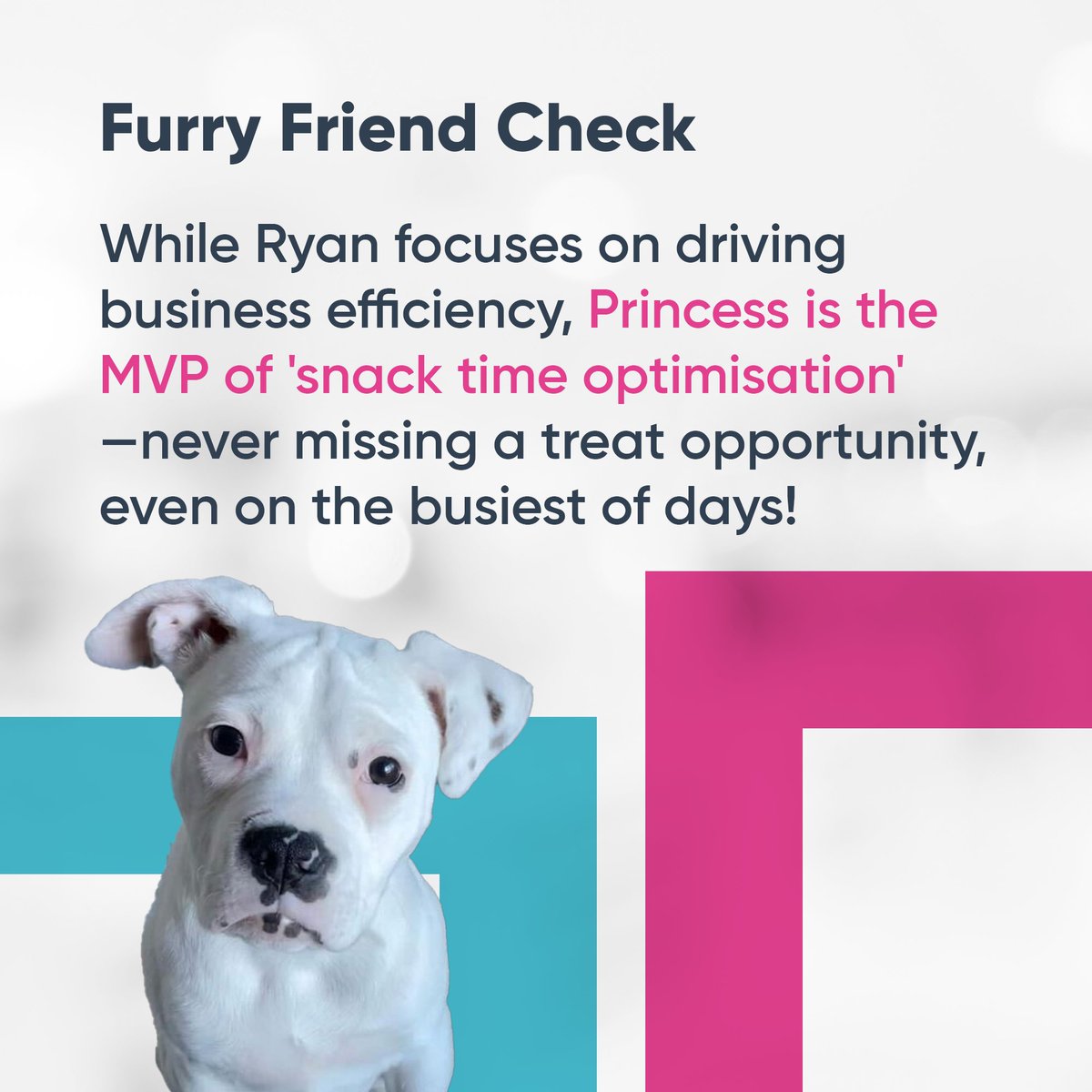 Ideagen Op Central tweet media